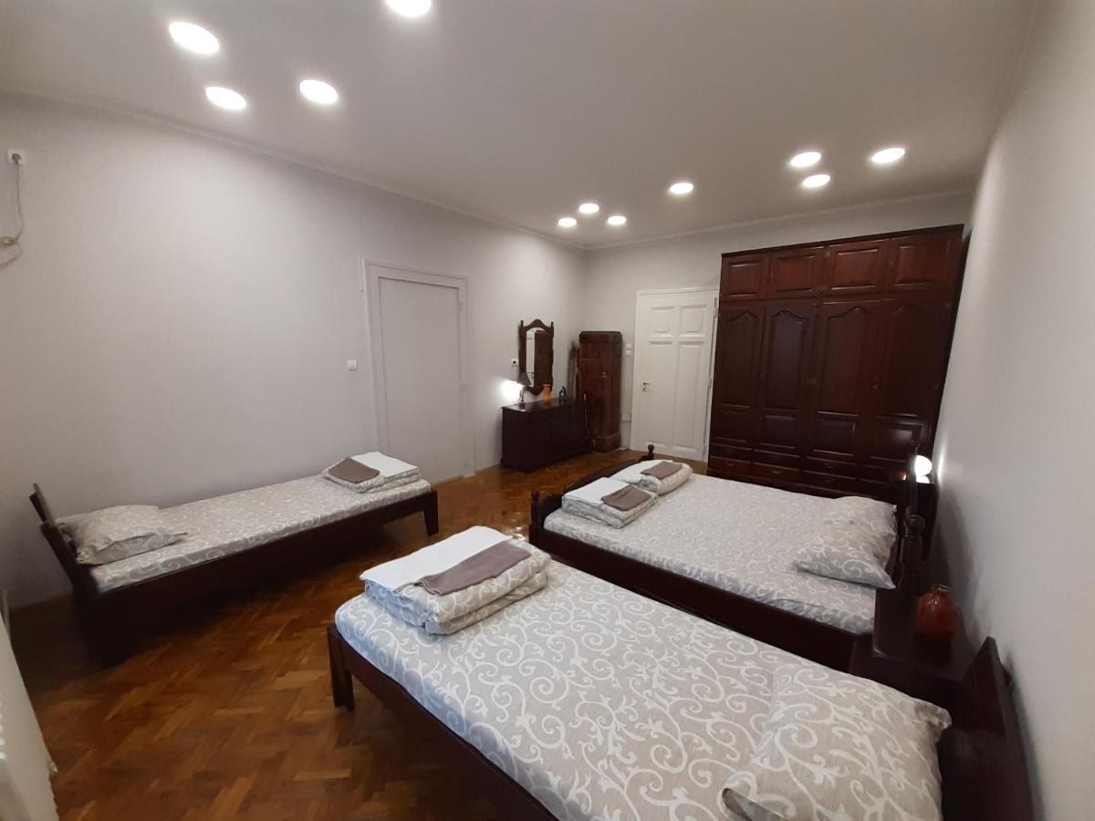 Downtown Apartment In Walk Zone With 3 Bedrooms And Garage Novi Sad Bagian luar foto