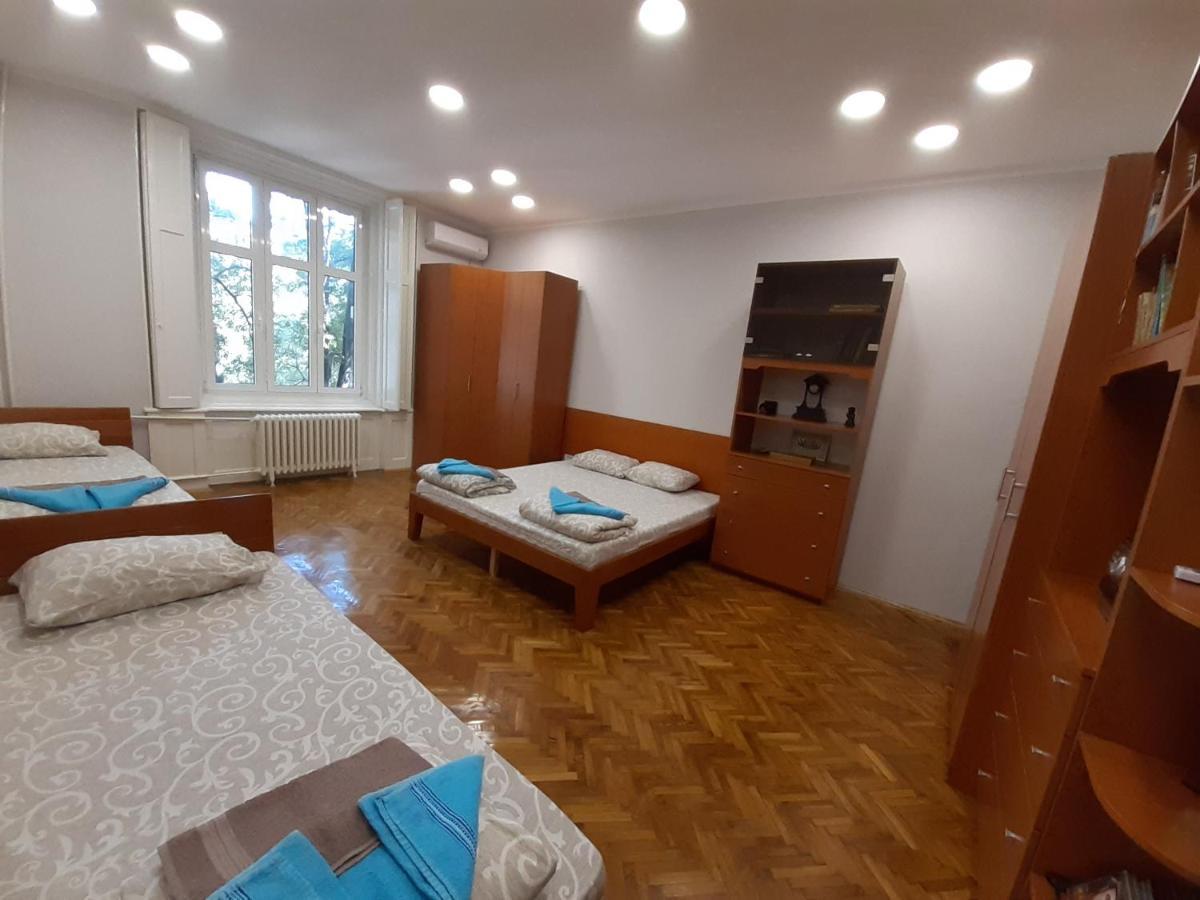 Downtown Apartment In Walk Zone With 3 Bedrooms And Garage Novi Sad Bagian luar foto