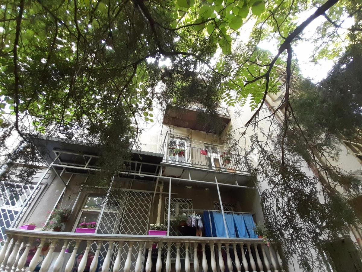 Downtown Apartment In Walk Zone With 3 Bedrooms And Garage Novi Sad Bagian luar foto