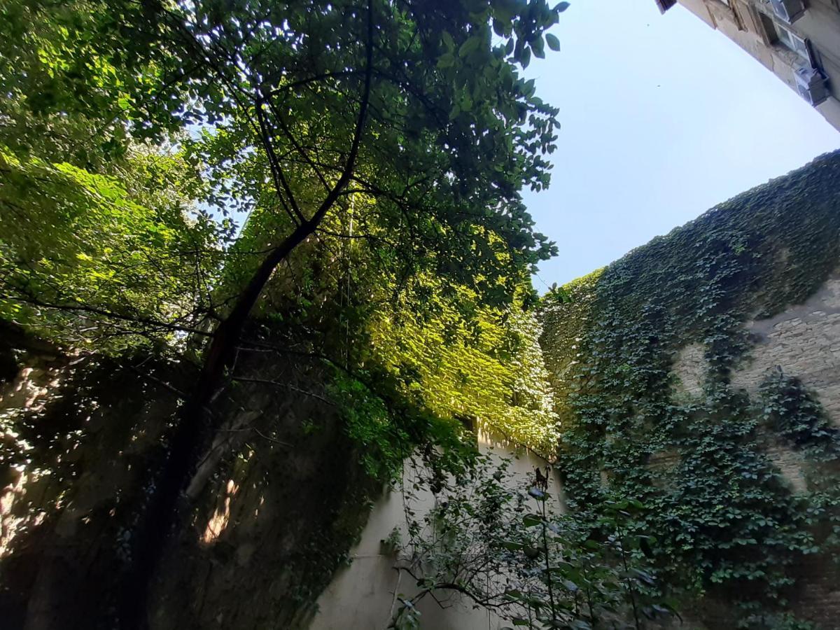 Downtown Apartment In Walk Zone With 3 Bedrooms And Garage Novi Sad Bagian luar foto